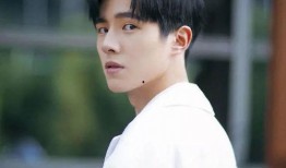 刘昊然舆论爆料视频播放,真相与舆论的碰撞